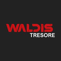 WALDIS Tresore AG