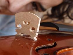 Bornand Esther maître luthier