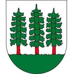 Gemeinde Wald (ZH)