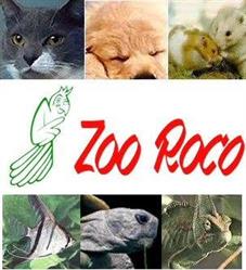 Zoo Roco AG