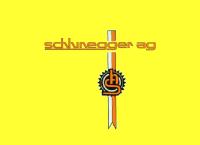 Schlunegger AG