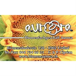 Blumen Aurora GmbH