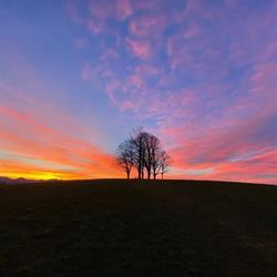 Restaurant Frohe Aussicht