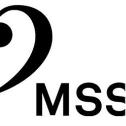 Musikschule Sarganserland