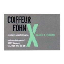 Coiffeur Föhn-X