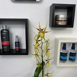 Coiffeur Skyline