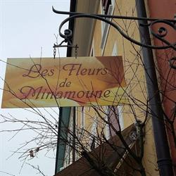Sliti, Les Fleurs de Minamoune