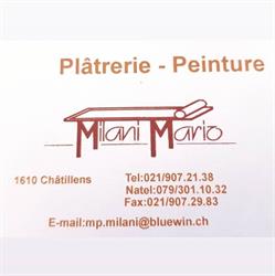 Mario Milani