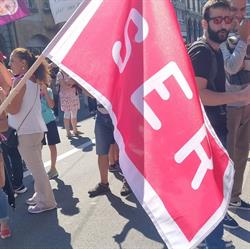 Syndicat Des Enseignants