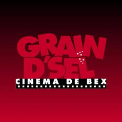 cinéma Grain d'Sel