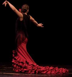 Tanzschule Escuela de Arte Flamenco