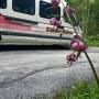 Kander Reisen, Bus für 18 Personen,