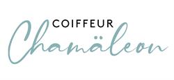 Coiffeur Chamäleon