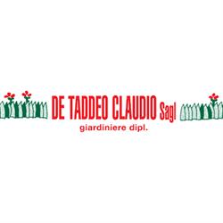 De Taddeo Claudio Sagl.