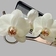 Coiffuresalon Hair- und Beauty Studio Hafner