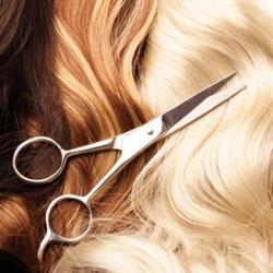 Coiffure Szenario
