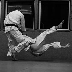 Judo und Ju-Jitsu Club Spiez