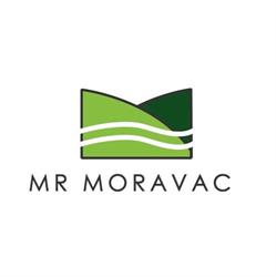 Mr Moravac, Gorica Milivojevic