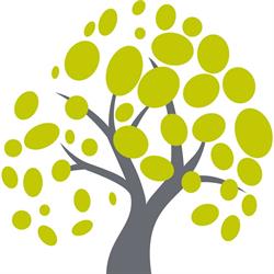 Stiftung Alterszentrum Lindenhof Oftringen