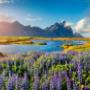 # 5