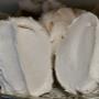 Boulangerie Bonnin Nyon -Meringues