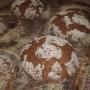 Boulangerie Bonnin Nyon - Pain frais