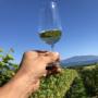 Le Clos de Céligny - Vignoble Genève et Vaud
