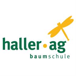 Haller AG