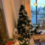 Café Restaurant Traube