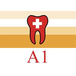 A1 Zahnärzte