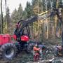 Vollmechanisierte Holzernte - Abächerli Forstunternehmen AG Giswil