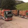 Holztransport - Abächerli Forstunternehmen AG Giswil