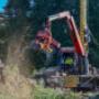 Vollmechanisierte Holzernte - Abächerli Forstunternehmen AG Giswil