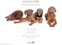 Animal Care Nicole Neukomm Röllin