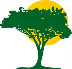 Bafana Sport GmbH