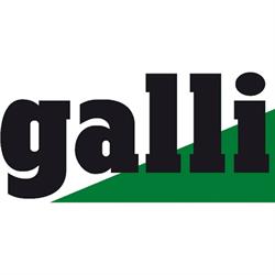 Galli Bauunternehmung Holzbau AG