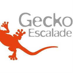 Gecko escalade Sàrl