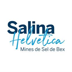 Mines de Sel Des Alpes