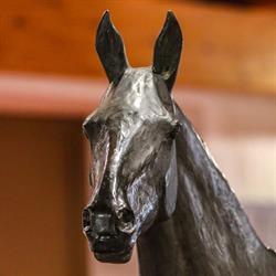 Musée du Cheval