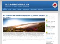M. Wiesendanger AG