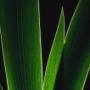 Licht und Schatten