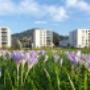 Gesundheitszentrum im Park