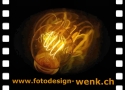 Fotodesign-Wenk