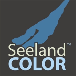 Seeland Color Maler- und Gipsergeschäft Hügli