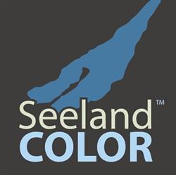 Seeland Color Maler- und Gipsergeschäft Hügli