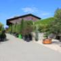 schaugarten 3