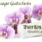 Massage-Gutschein-Basel