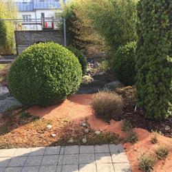 Huber Gartenarbeiten