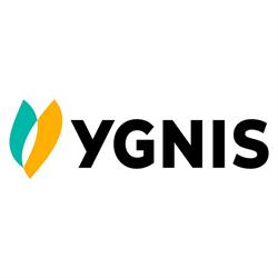 YGNIS