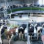 GEA Farm Technologies Suisse AG, Ittigen